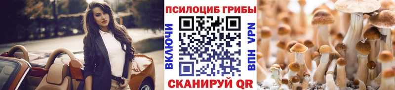 Псилоцибиновые грибы GOLDEN TEACHER  Купить где  Навашино 